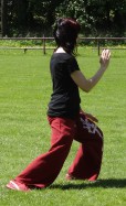 tai chi 10